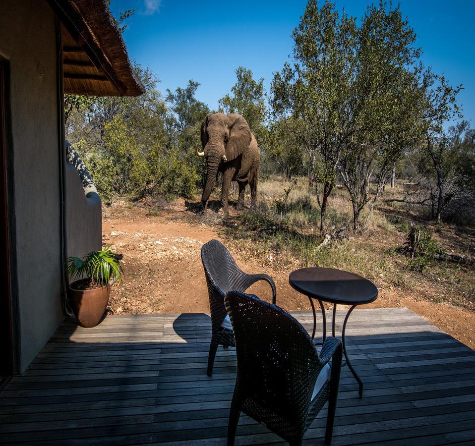 Willa Garonga Safari Makalali Game Reserve Zewnętrze zdjęcie
