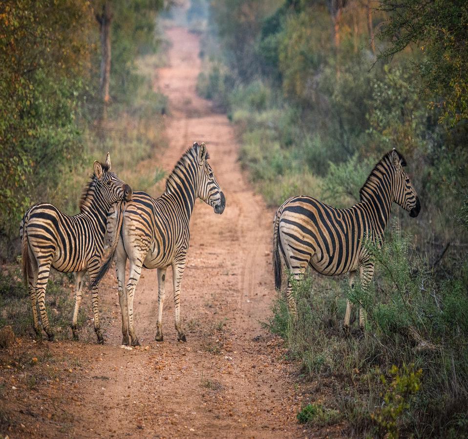 Willa Garonga Safari Makalali Game Reserve Zewnętrze zdjęcie