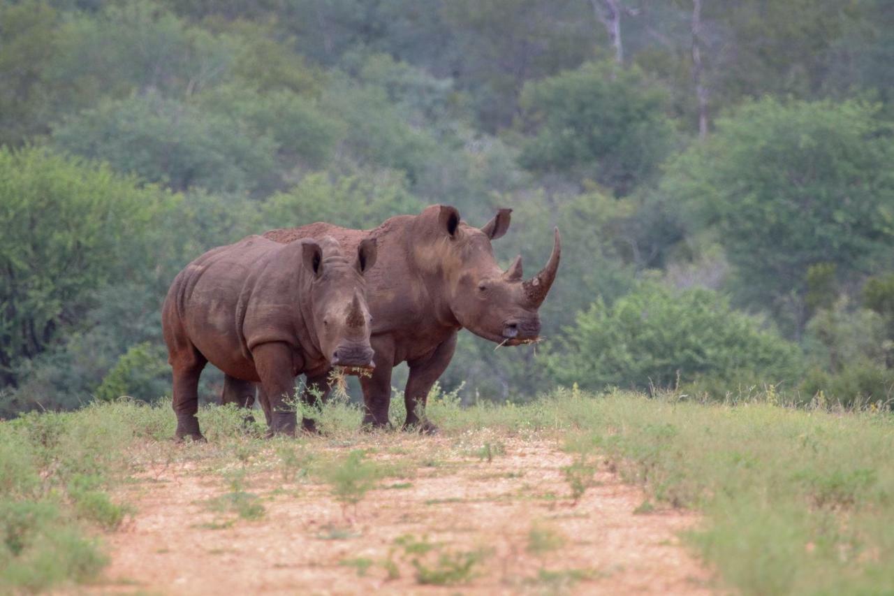 Willa Garonga Safari Makalali Game Reserve Zewnętrze zdjęcie
